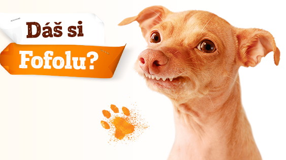 Hviezdou slovenskej reklamy na kofolu je šušlavý psík s roztomilou tvárou