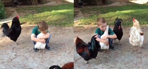 Chlapec objal sliepku a neuveríte čo sa stalo. Aj taká je sila zvieracej lásky
