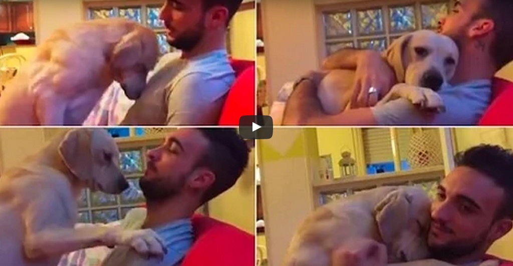 Oddaný psík prosí o odpustenie od svojho majiteľa a začne ho láskyplne objímať