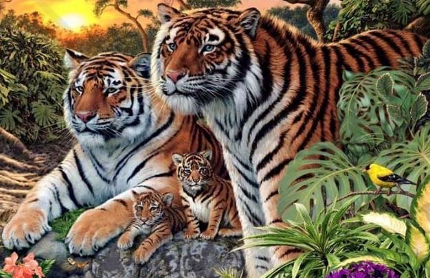 Koľko tigrov vidíte na tomto obrázku? 90 percent ľudí ich nevie všetkých zrátať. A čo ty?