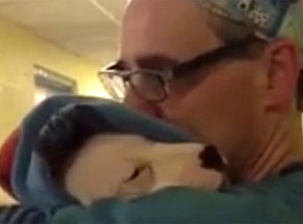 To, čo spravil veterinár po prebudení sa šteniatka po operácii sa len tak nevidí