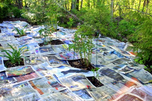 Susedia sa mu smiali, že na zeminu v záhrade dal noviny. Potom ale zistili, že ide o geniálny nápad!