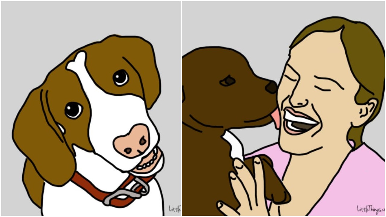 10 prekvapujúcich a skrytých spôsobov, ako nám pes preukazuje svoju lásku