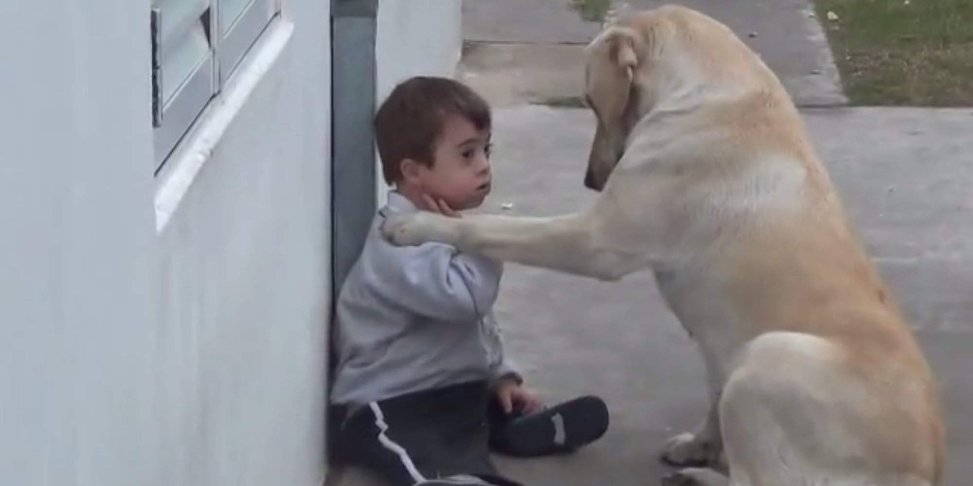 Chlapec s Downovým syndróm, ktorý nemal žiadnych priateľov, pokiaľ psík neurobil nádherné gesto