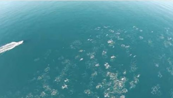 Muž natáčal oceán zo vzduchu. To, čo sa mu podarilo natočiť, je neuveriteľné!