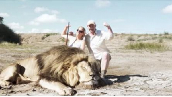 Zabili leva a potom vedľa jeho tela pózovali pre fotografiu. To, čo sa objavilo za jej chrbtom o niekoľko sekúnd neskôr, je šokujúce!