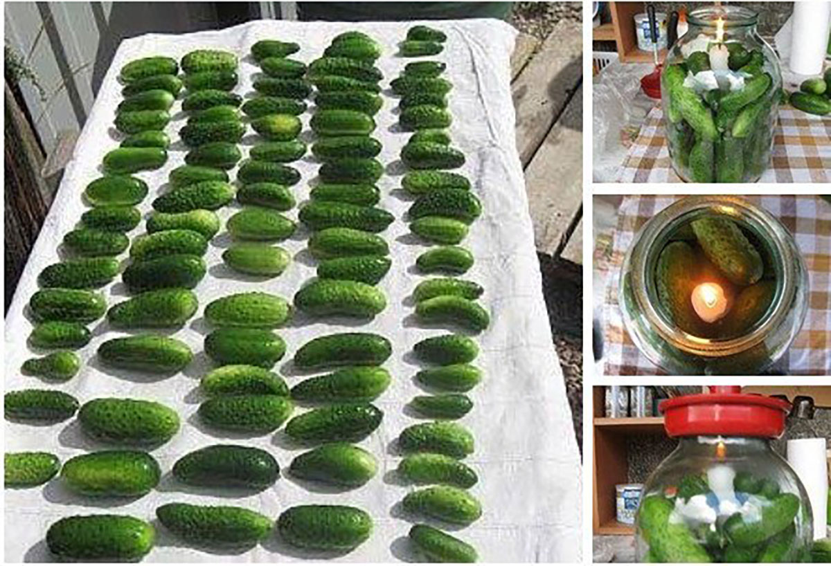 Geniálny trik ako udržať uhorky stálej čerstvé až niekoľko mesiacov! Budú Vám stačiť 2 ingrediencie!