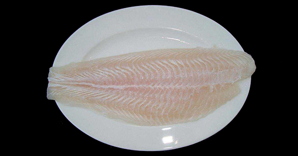 Šokujúca pravda o rybe pangasius. Budete prekvapení, aká je veľmi nebezpečná pre vaše zdravie.
