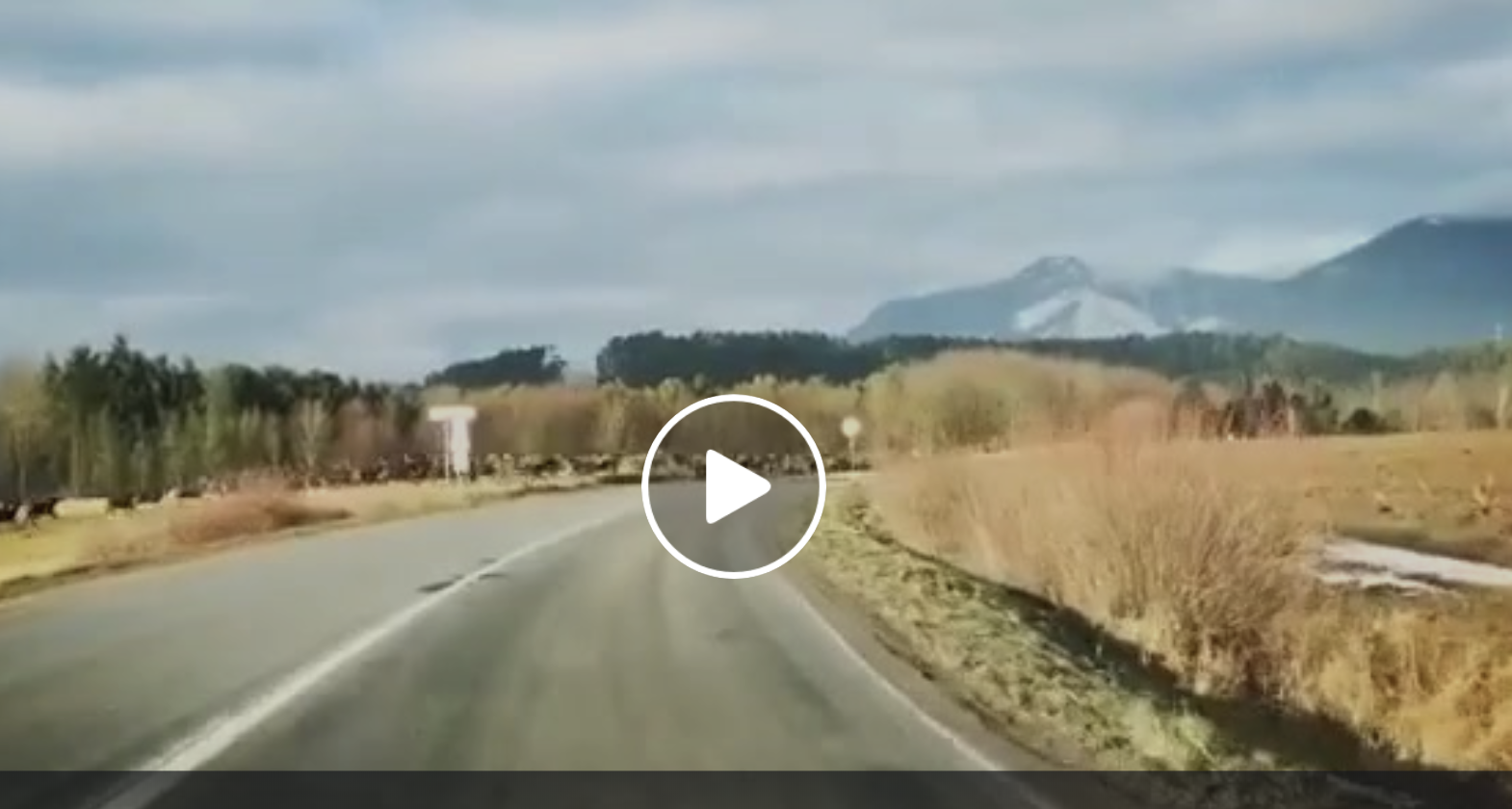 Slovenskému vodičovi sa podarilo natočiť niečo, čo uvidíte možno raz za život. Jeho video koluje internetom