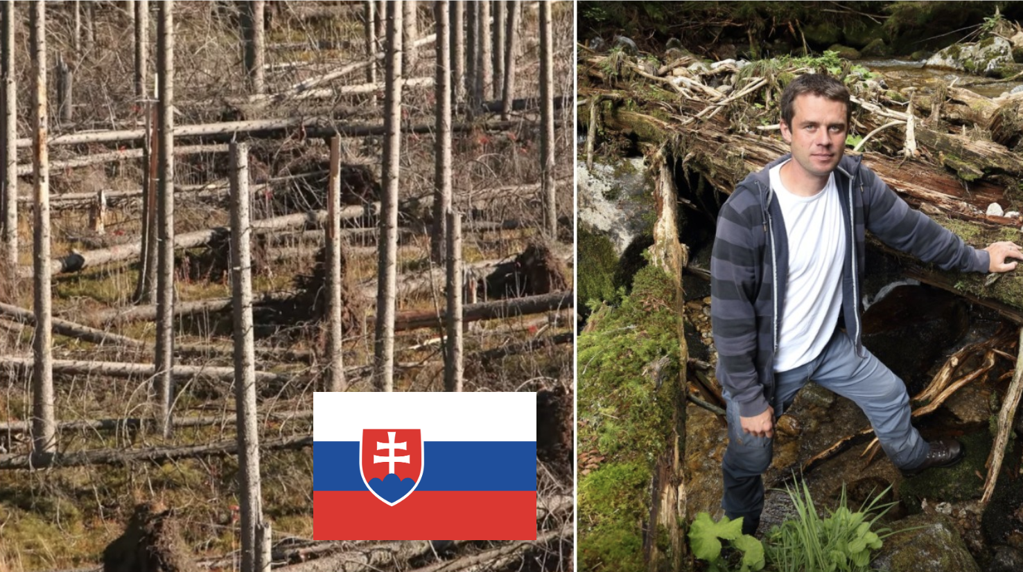 Slovenský ochranár poslal premiérovi video, ktoré by ste si mali pozrieť aj vy! Lesy vám nepatria!